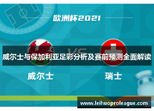 威尔士与保加利亚足彩分析及赛前预测全面解读